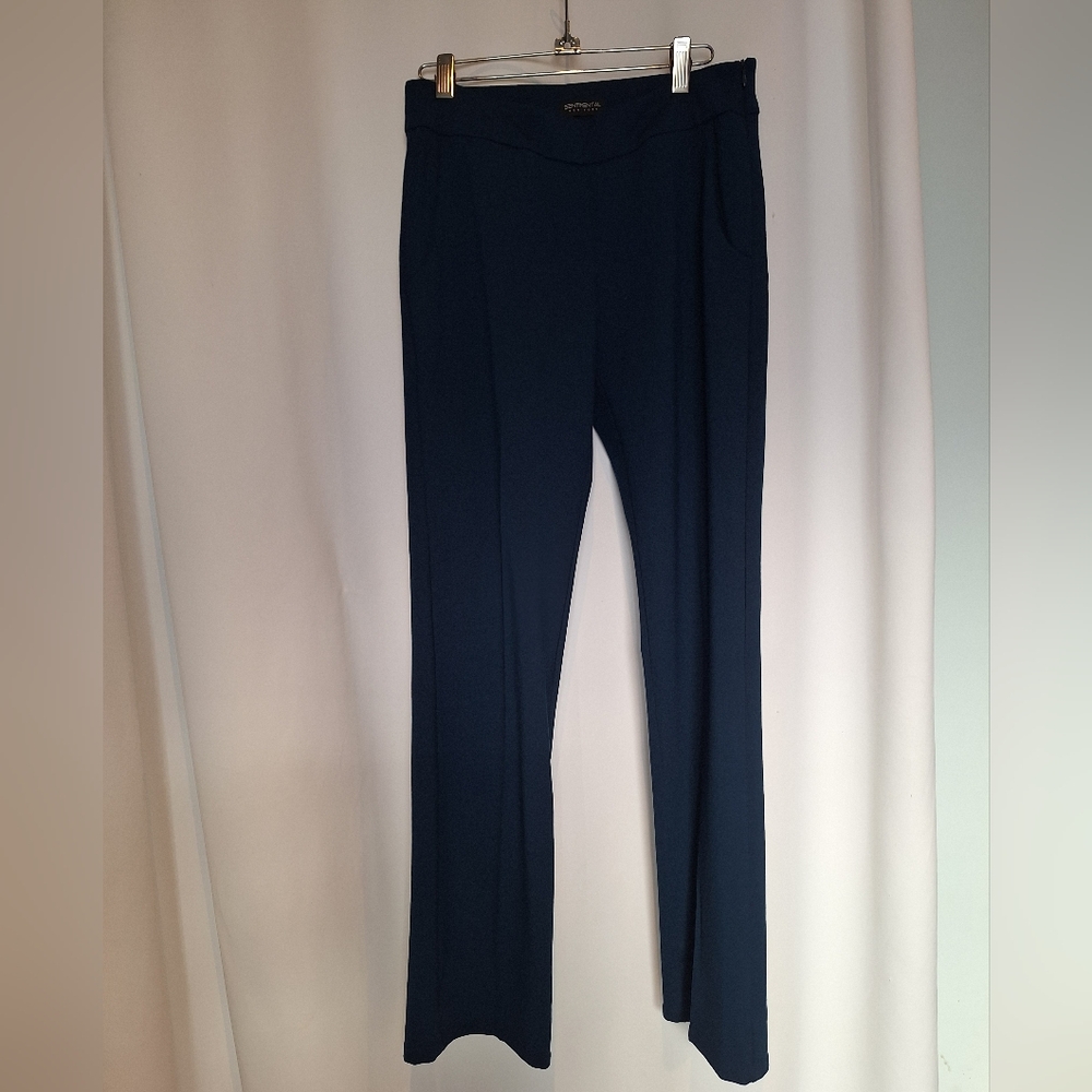 Sentimental New York blue Straight Leg career pants size 10
